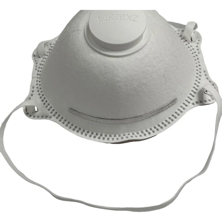 N100 Disposable Respirator